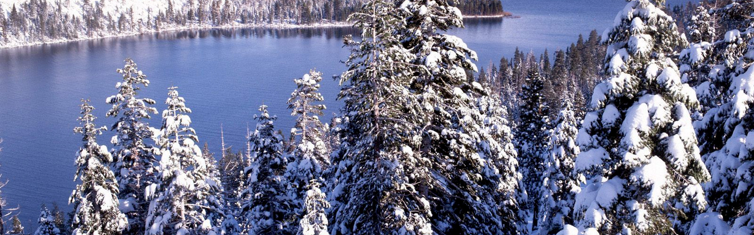 This is an image description which will appear as a caption.